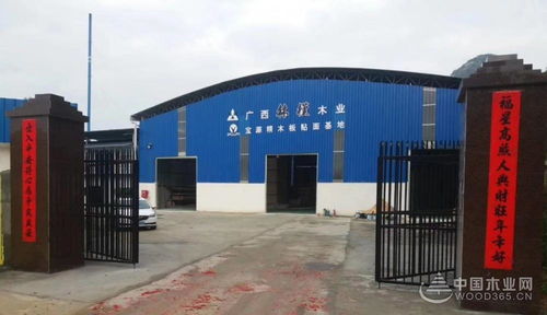 林槿板材总经理马中江 弯道超速 与广西一同按下快进键